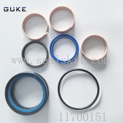 سعر جيد طقم سدادات إصلاح الأسطوانة الهيدروليكية لـ V-O-L-V-O Articulated Hauler A40 A30 BM Voe11700151 الانترنت